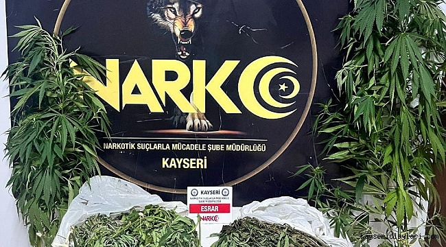 Bahçesinde Hint keneviri yetiştiren zehir taciri yakalandı