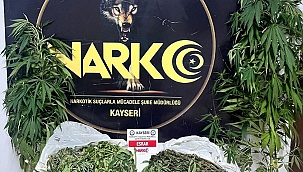 Bahçesinde Hint keneviri yetiştiren zehir taciri yakalandı