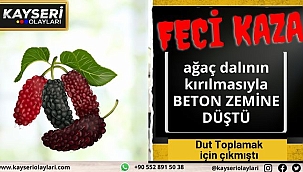 Dut toplamak için çıktığı ağaçtan düşerek vefat etti