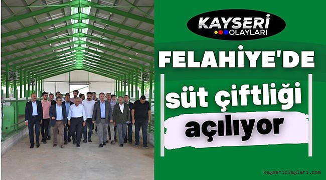 Felahiye'de süt çiftliği açılıyor