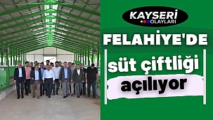 Felahiye'de süt çiftliği açılıyor