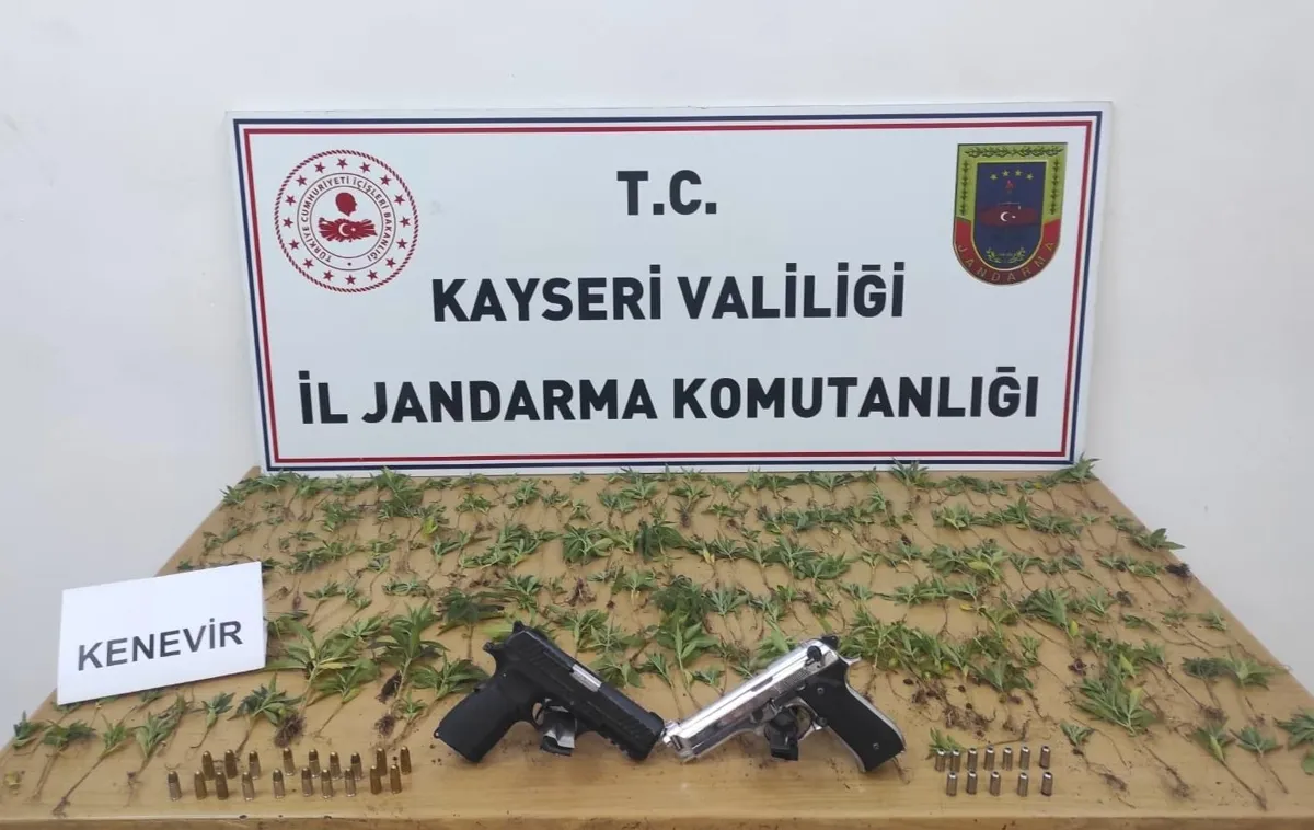 Kayseri'de kamu arazisinde kenevir yetiştiren 2 şüpheli yakalandı