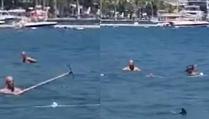 Marmaris'te köpek balığı diye Akdeniz Zarganası'nı paspas sopasıyla kovalamışlardı! 