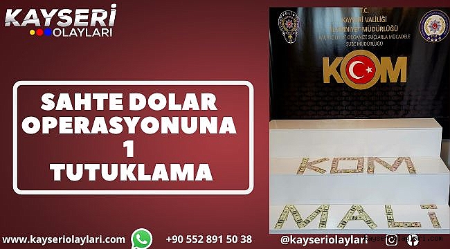 Sahte dolar operasyonuna 1 tutuklama
