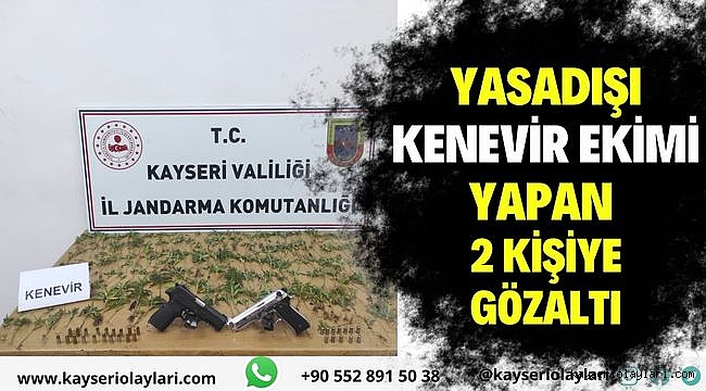 Yasadışı kenevir ekimi yapan 2 kişiye gözaltı