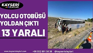 Yolcu otobüsü yoldan çıktı: 13 yaralı