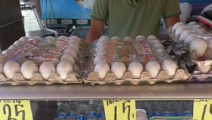 Yumurta fiyatları neden artıyor?