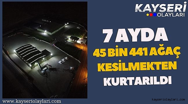 7 ayda 45 bin 441 ağaç kesilmekten kurtarıldı