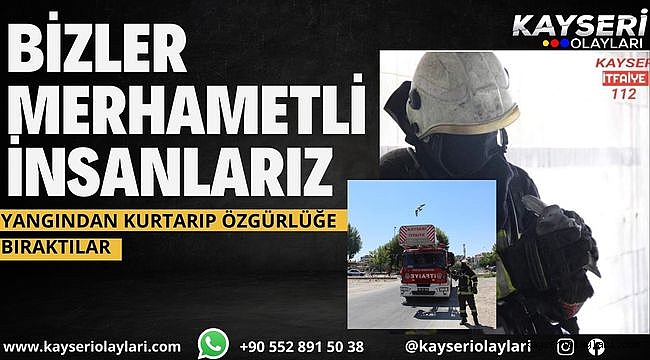 Bizler Merhametli İnsanlarız Yangından Kurtarıp Özgürlüğe Bıraktılar
