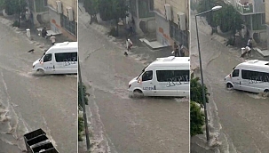 Esenyurt'ta sele kapılan köpek böyle kurtarıldı