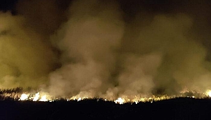 İznik Gölü kenarında yangın çıktı! Ekipler bölgede...