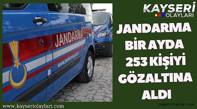 Jandarma bir ayda 253 kişiyi gözaltına aldı