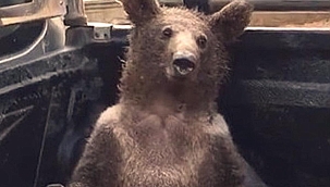 Kovanda durduğu gibi durmadı