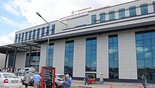 Sakarya'da korkunç olay: Sokak köpeğine ateş etti, 3 çocuk vuruldu