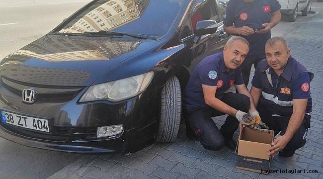 Araca sıkışan kediyi itfaiye ekipleri kurtardı