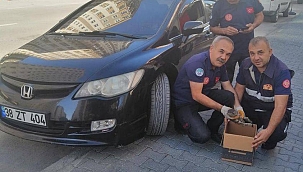 Araca sıkışan kediyi itfaiye ekipleri kurtardı