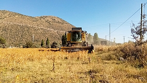 Aspirden toplam 1,5 ton sıvı yağ elde edildi