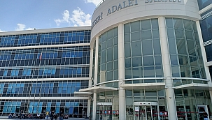 DEAŞ operasyonunda 1 kişi yakalandı