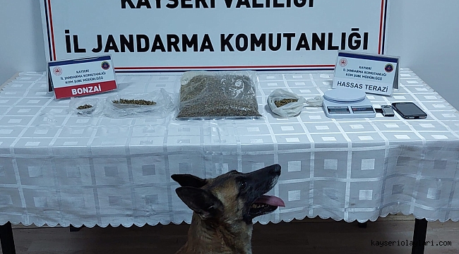 Narkotik köpeği ile uyuşturucu operasyonu: 1 gözaltı