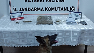 Narkotik köpeği ile uyuşturucu operasyonu: 1 gözaltı