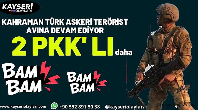 Terörün Kökü Kazınıyor! 2 Pkk'lı Etkisiz Hale Getirildi