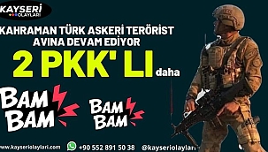 Terörün Kökü Kazınıyor! 2 Pkk'lı Etkisiz Hale Getirildi