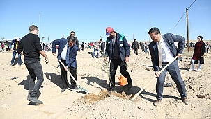 BÜYÜKŞEHİR'DEN ŞEHİTLER ANISINA 251 FİDAN