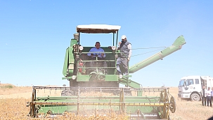 BÜYÜKŞEHİR'DEN TARIMA 34,5 MİLYON TL'LİK "TOHUM" DESTEĞİ