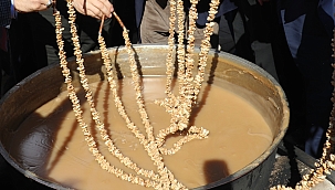 ERKİLET KEDİ BACAĞI ETKİNLİĞİ DÜZENLENECEK