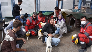 KOCASİNAN, GENÇLERE HAYVAN SEVGİSİ AŞILIYOR