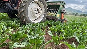 TARIM VE HAYVANCILIK DESTEKLERİ AÇIKLANDI