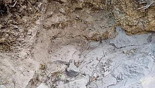 Define hayaliyle İstanbul'dan kalkıp o mahalleye geldi... Yaptığı hata canına mal oldu! Bir yalan böyle ortaya çıktı