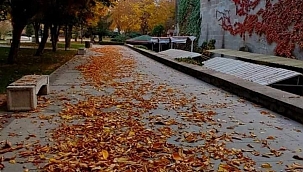 SONBAHARIN GÜZELLİĞİNDE GEVHER NESİBE'Yİ GEZDİNİZ Mİ?