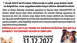 5 BİN 512 EVCİL HAYVANA ÇİP TAKILDI