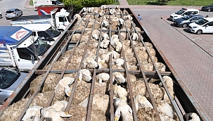 BÜYÜKKILIÇ'TAN KIRSALA 1 MİLYAR TL'Yİ AŞKIN YATIRIM