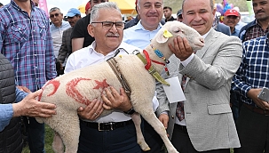 BÜYÜKŞEHİR'DEN AKKIŞLA'YA SÜT İŞLEME TESİSİ