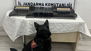 PINARBAŞI'NDA KAÇAK SİGARA ELE GEÇİRİLDİ