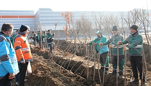  YENİ PARKLAR VE AĞAÇ DİKMEDE YENİ BİR REKORA HAZIRLANIYOR