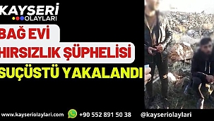 Bağ evi hırsızlık şüphelisi suçüstü yakalandı