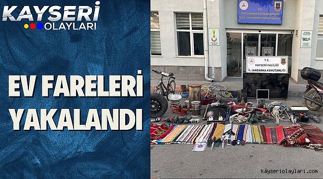 Ev Fareleri Yakalandı! 