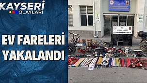 Ev Fareleri Yakalandı! 