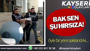 Hırsızı Yakalayan Polis 'Yerin Rahat Mı?' diye Seslendi