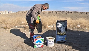 ÖĞRENCİLERDEN HAYVANLARA ŞEFKAT ELİ