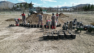 4500 ADET ÇINAR FİDANI MELİKGAZİ'YE AĞAÇ OLACAK