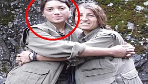  Yeşil Sol Parti milletvekili adayı Ayten Dönmez gözaltına alındı! Fotoğrafı ortaya çıktı: PKK/KCK...