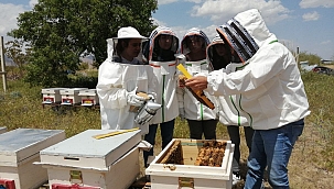 KAYÜ'DE ARICILIK EĞİTİMİ SÜRÜYOR