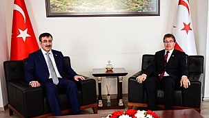 Cumhurbaşkanı Yardımcısı Yılmaz KKTC Başbakanı Üstel ile görüştü