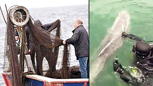 Hayalet ağdan 'SAK' kurtardı