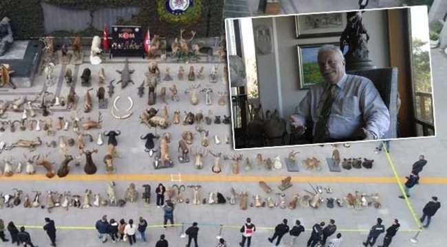 İstanbul'da kaçak hayvan müzesine operasyon: Detaylar şoke etti! - Resim 1