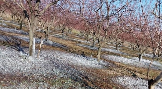 METEOROLOJİDEN ZİRAİ DON UYARISI